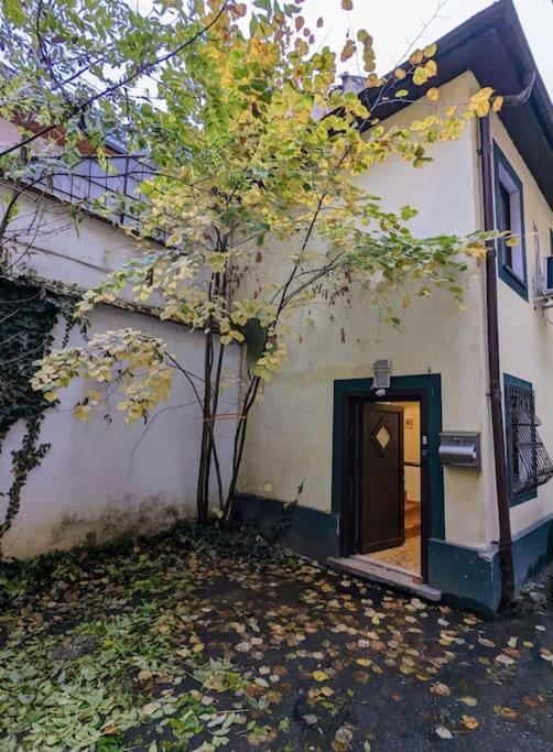 Maisonette Balcesco Brașov Exterior foto